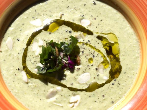 Nutritional food vacation in the Peloponnese