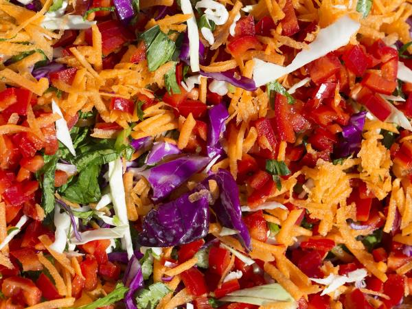 Nutritional food vacation in the Peloponnese