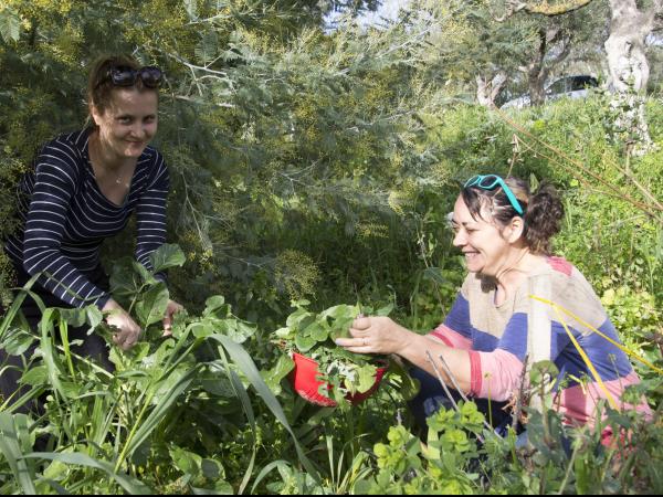 Nutritional food vacation in the Peloponnese