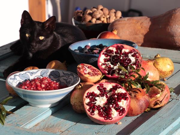 Vegetarian cuisine vacation in Greece
