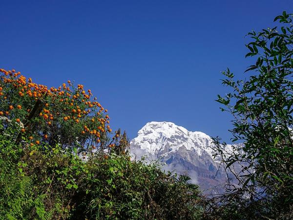 Helambu trekking vacation in Nepal