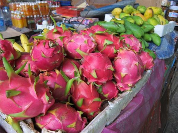 Laos budget vacation