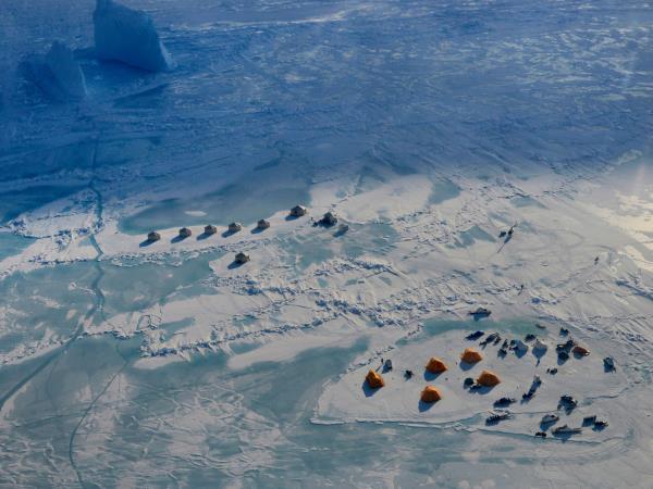 Canada Arctic wilderness safari, Polar bears & Narwhals