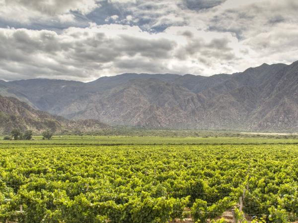 Argentina vacations, best of northwest Argentina