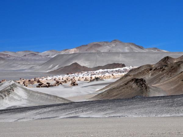 Northern Argentina vacation