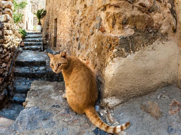 Peloponnese vacation in Greece, Mani & Laconia