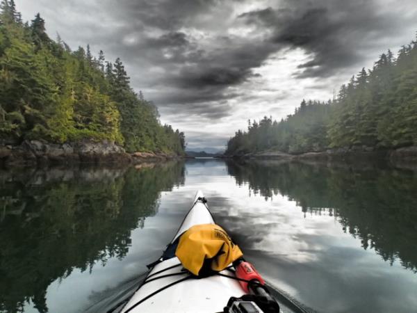 Kayak with whales in British Columbia, Canada