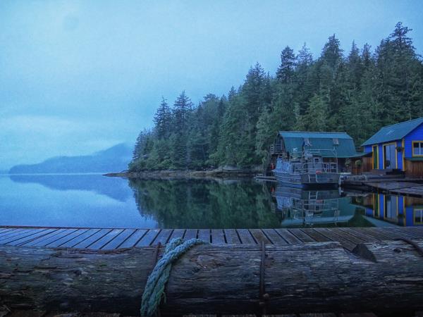 Kayak with whales in British Columbia, Canada