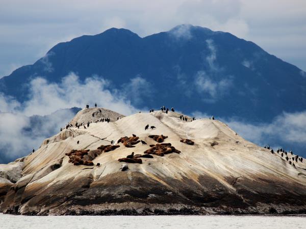 Patagonia kayaking vacation