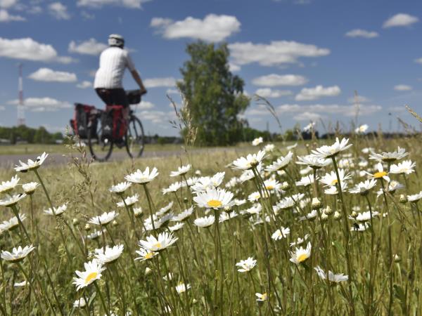 Lithuania cycling tour along the Baltic sea