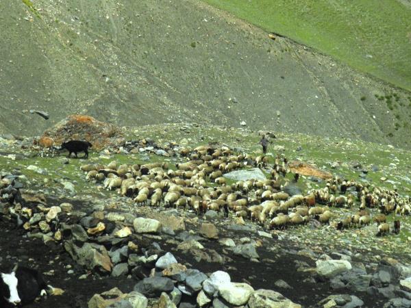 Pakistan Thalle La Trek vacation, Karakoram mountains