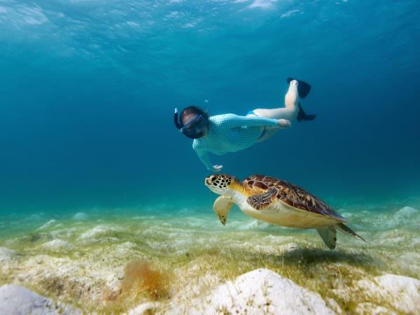 Ecuador and Galapagos Islands wildlife tour