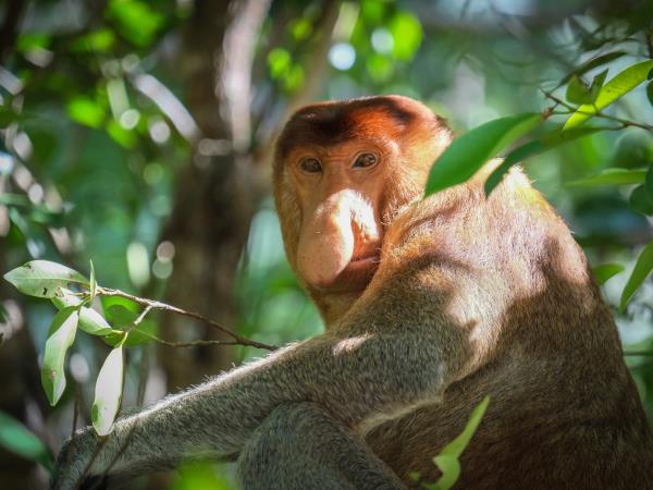 Sarawak off the beaten track tour