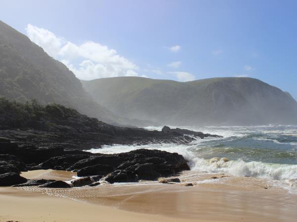Garden Route tour and safari in South Africa