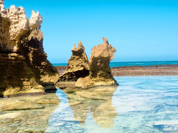 Garden Route tour and safari in South Africa