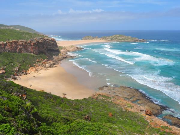 Garden Route tour and safari in South Africa