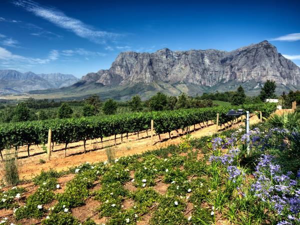 Garden Route tour and safari in South Africa