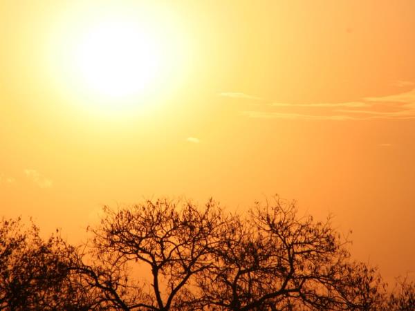 Tailor made Botswana safari
