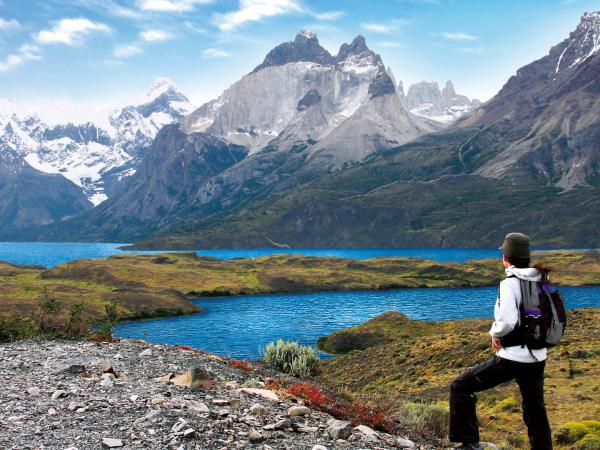 Puma tracking in Patagonia vacation