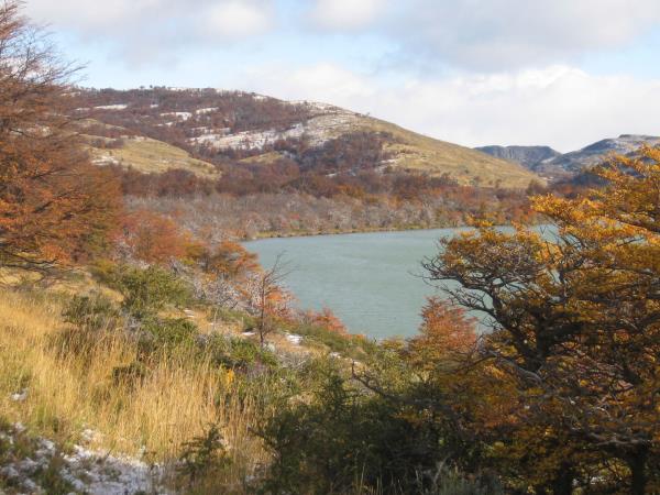 Puma tracking in Patagonia vacation