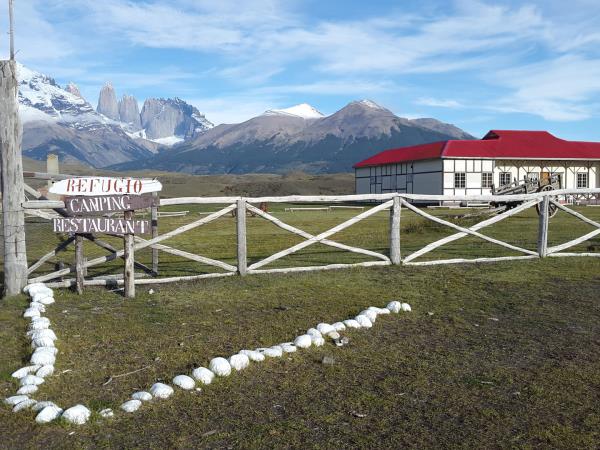 Puma tracking in Patagonia vacation