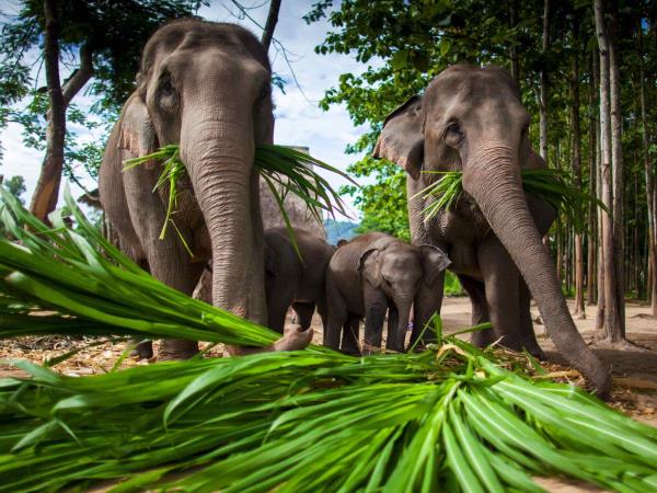 Thailand 19 day holiday