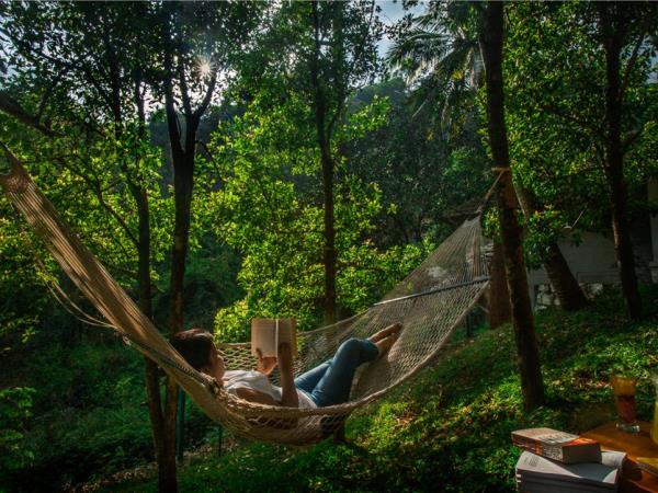 Best of South India tour