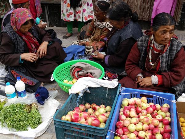 Ladakh mountains trekking adventure