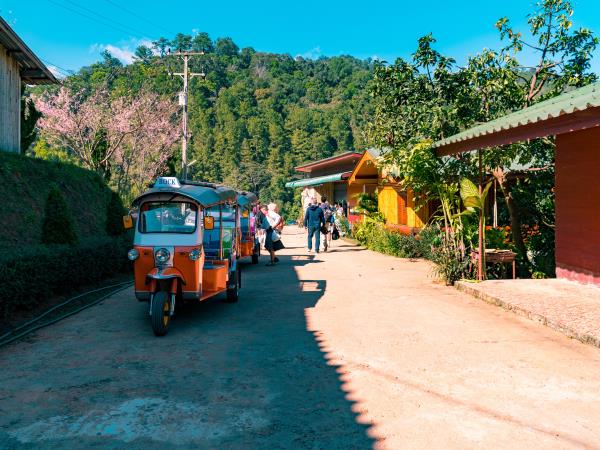 Thailand adventure holiday, self drive Tuk Tuk 