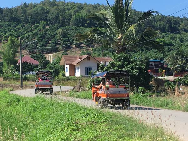 Learn to drive a Tuk Tuk & holiday in Thailand