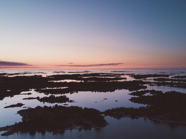 Kayaking wildlife safari in the Swedish Archipelago