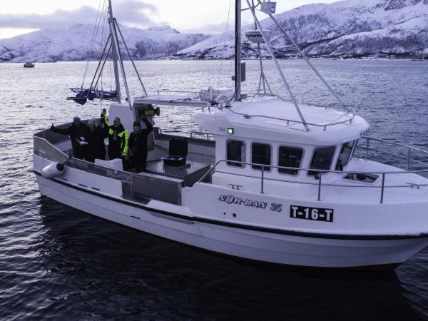 Swim with killer whales and humpback whales in Norway