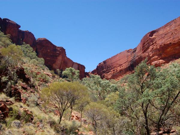Australia wildlife tour in Northern Territory