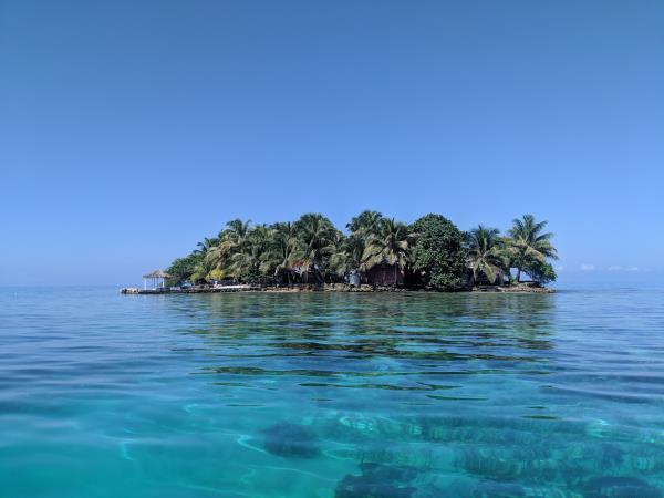Reef conservation volunteering in Belize