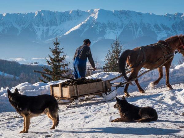 Transylvania winter tour in Romania, self drive