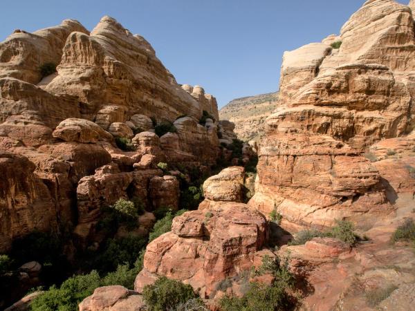 Jordan family adventure vacation
