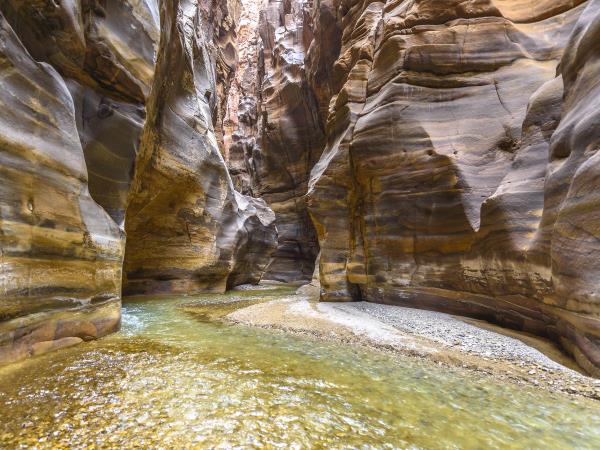 Jordan tour, tailor made