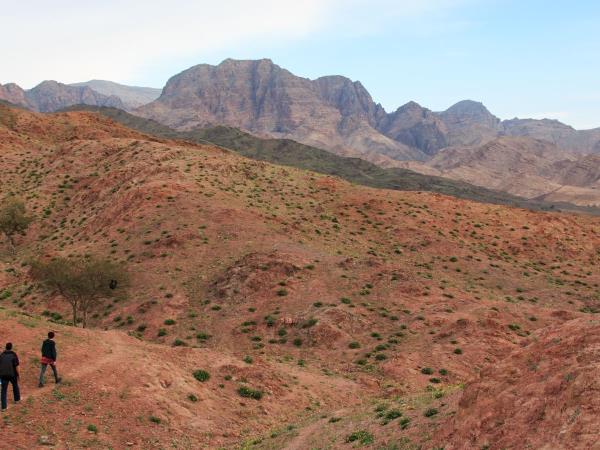 Jordan tour, tailor made