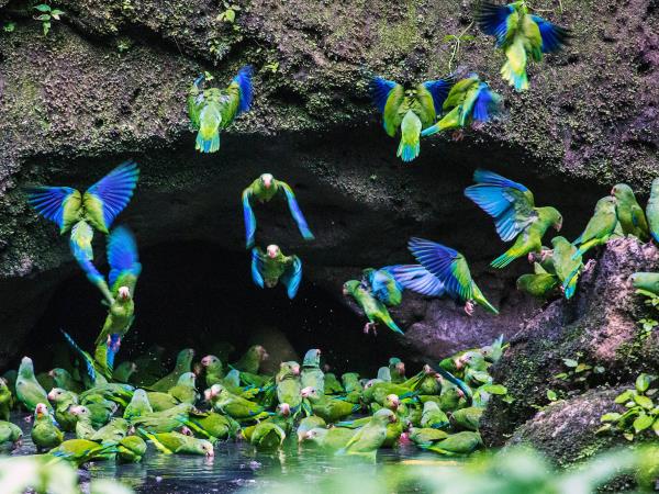 Galapagos and Ecuador wildlife tour