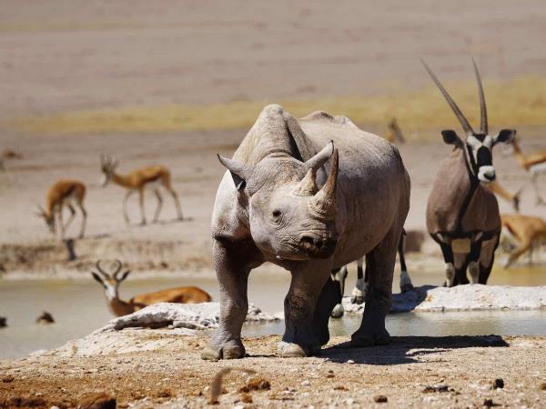 Namibia self drive adventure vacation