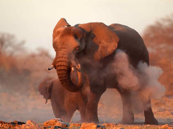 Namibia self drive adventure vacation
