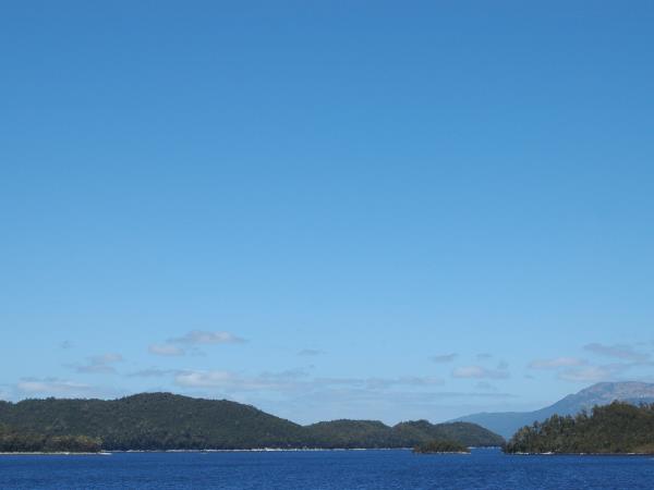 Tasmania and Victoria wildlife vacation, Australia
