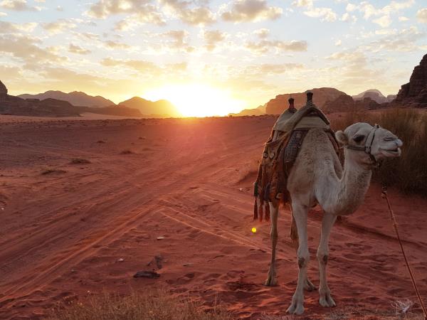 Jordan multi-sport vacation