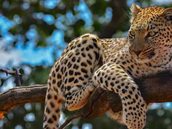 Windhoek to Victoria Falls self drive tour