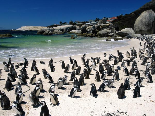 South Africa family adventure vacation, tailor made