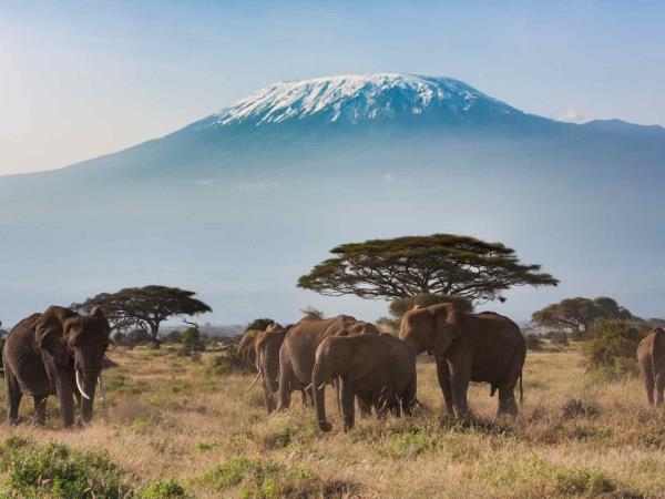 Tanzania vacation, Kilimanjaro trek, safari & beach