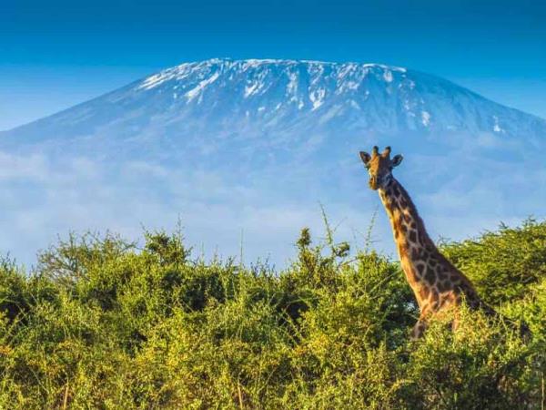 Tanzania vacation, Kilimanjaro trek, safari & beach
