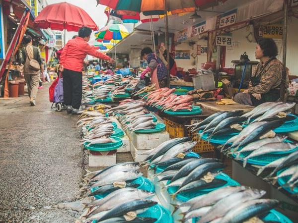 Food tour in South Korea