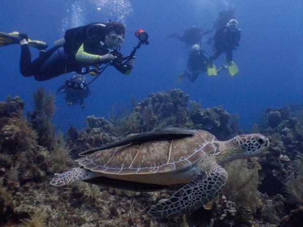 Luxury Belize vacation