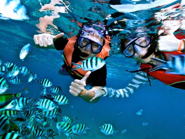 Tanzania Safari and beach holiday